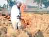 Steep rise in stubble burning incidents in Punjab this year