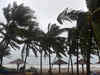 Cyclone Nivar tears down power lines, trees in Tamil Nadu; no casualties