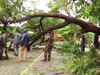 Cyclone Nivar: Chennai witnesses strong winds, trees uprooted in many parts
