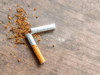 Karnataka’s municipal bodies barred from engaging with tobacco firms on public campaigns
