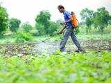 Industry highlights flaws in Pesticides Management bill, seek more scrutiny