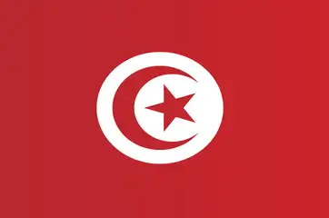 Ten years on, Tunisia is Arab Spring's only success