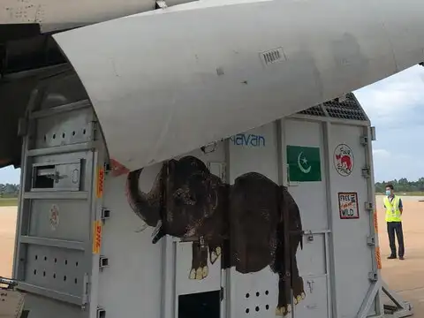Flight to Cambodia