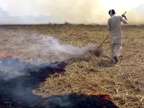 Against stubble farming