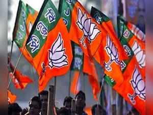 bjp_flag_750