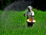 Budget 2021: Fertiliser industry seeks cut in import duty on non-urea raw materials