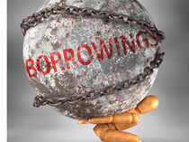 borrowings-1200