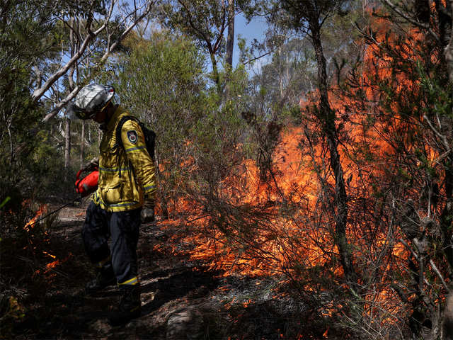The deadly bushfires