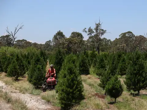 But, trees are not grown in a day
