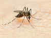Dengue cases count in Delhi reaches near 1,000-mark