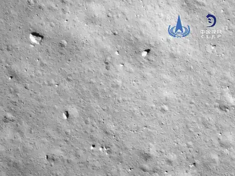 Growing rice in space