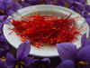 Powered by GI tag, J&K launches Kashmiri saffron in UAE market