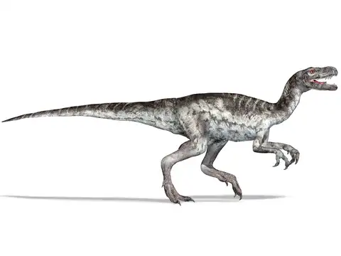 Ancestors of dinos too