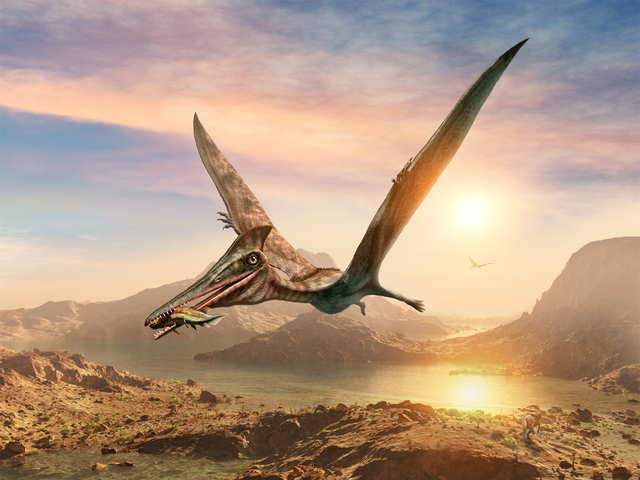 Flying Dinosaurs': The Prehistoric Rulers of the Sky