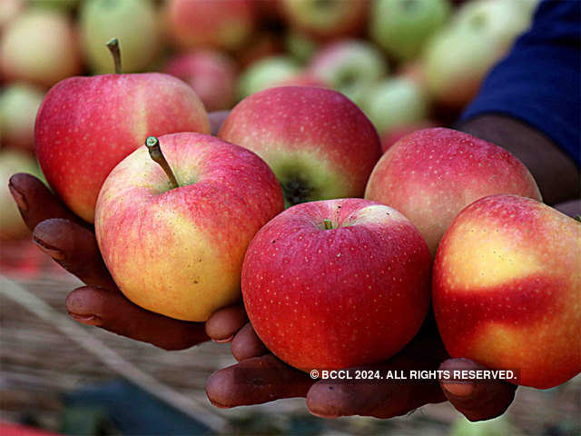 Bringing Kashmiri apples
