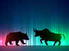 Animal instincts that stock market investors have