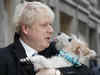 On the official Christmas card, the British PM Boris Johnson’s pet Dilyn’s scruffy locks look familiar