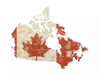 Looking to migrate to Canada? Here is a quick guide to the PR process