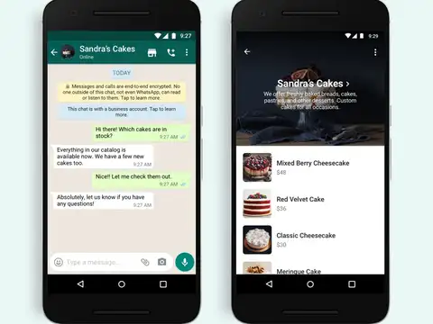 ​WhatsApp &lsquo;Carts&rsquo;