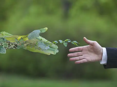 Going sustainable