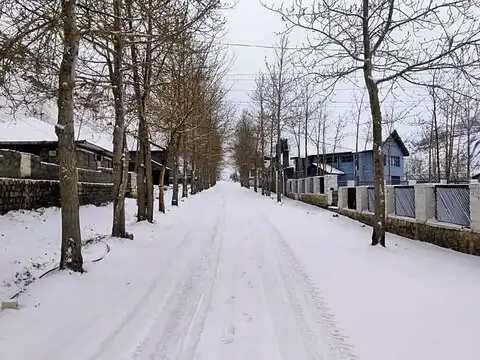 Wrapped in the cover of snow