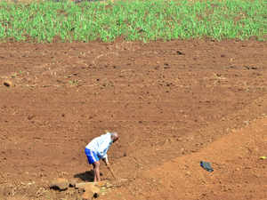 2020-21 rabi foodgrain output may surpass previous record: Narendra Singh Tomar