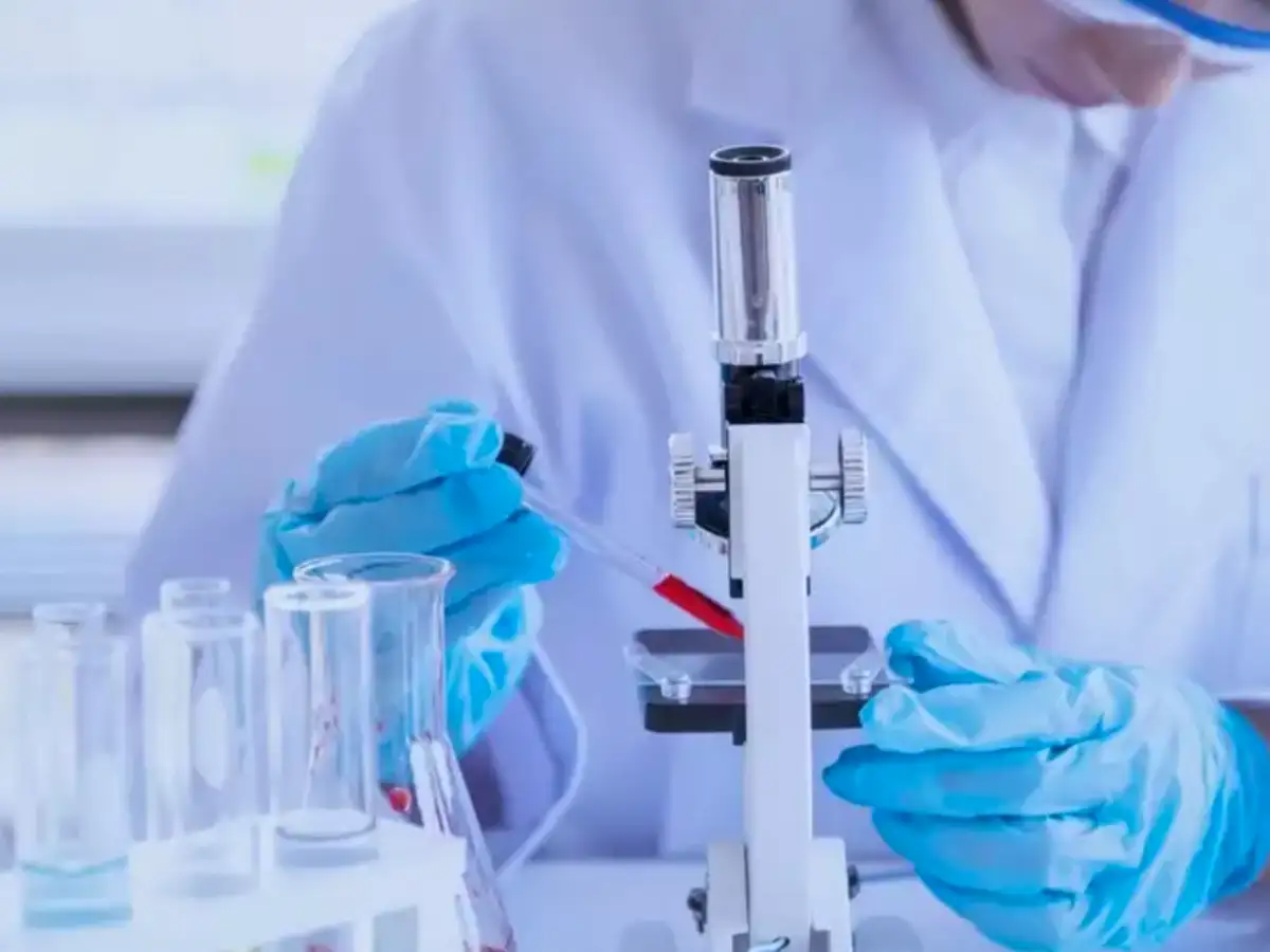 Saket Gokhale Latest News Videos Photos About Saket Gokhale The Economic Times Jschlatt is 6 feet and 3 inches tall for the height and his weight is estimated to be around 70 kg. saket gokhale latest news videos