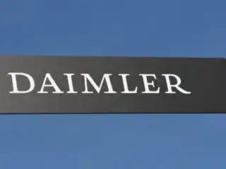 Wdwo Plfj6o5jm