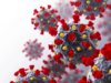 New study suggests immunity against novel coronavirus may last for over eight months
