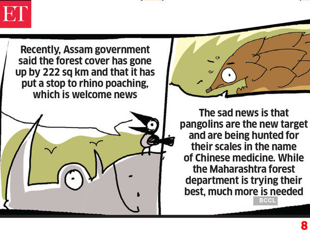 Assam steps in