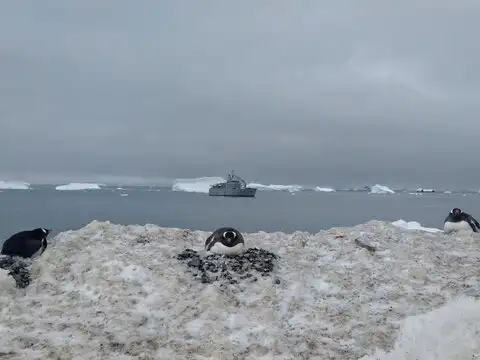 Worsening marine life