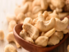 ETG Agro commissions nut processing unit in Gujarat