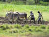 Pradhan Mantri Fasal Bima Yojana completes 5 years of operation; govt urges farmers to take benefit of scheme
