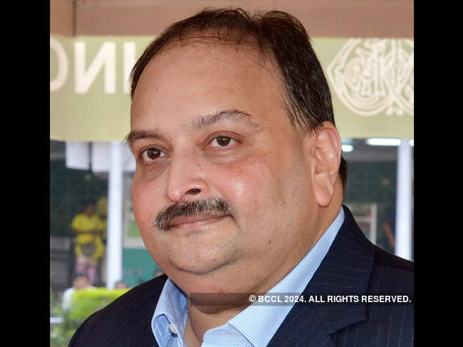 The Netflix lawyer said that​ the series had only a two-minute reference to Mehul Choksi, as the uncle of Nirav Modi, in the entire series.