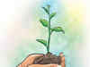 ICICI Prudential AMC to plant 50,000 tree saplings on behalf of its ESG fund investors