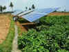 Madhya Pradesh sets up maximum solar pumps under government scheme: Minister