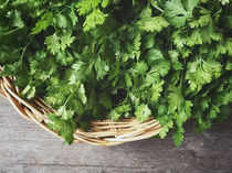 coriander