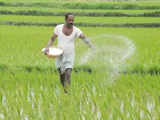 Fertiliser sales up 12% year-on-year in April-December period