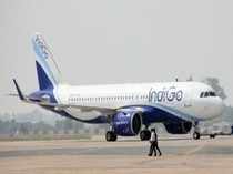 indigo 3 (1)