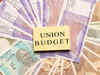 Budget 2021 likely to focus on growth, structural reforms: Report