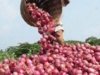 Take measures to ensure price stability of onion, says Economic Survey