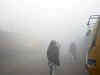 Dense fog engulfs Delhi amid cold waves, temperature dips to 5°C