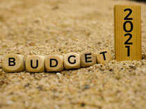Budget-2021-getty5