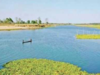 15th Finance Commission recommends Rs 1,075 crore embankment-cum-road for Majuli