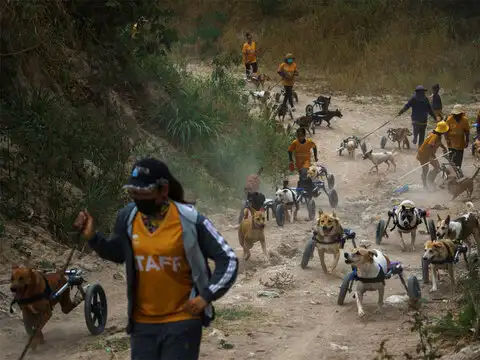 Operations