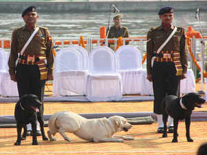 Indian Army dogs