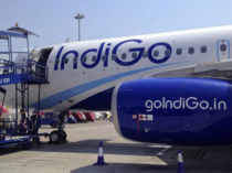 Indigo 6