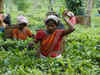 Major portion of budget package to be used for welfare of female tea workers and their kids