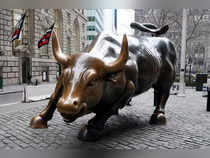 FILE PHOTO: The Charging Bull or Wall Street Bull is pictured in the Manhattan borough of New York City