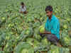 West Bengal farmers may soon get benefit of PM-Kisan